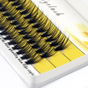 Cluster Eyelashes 60 Bundles