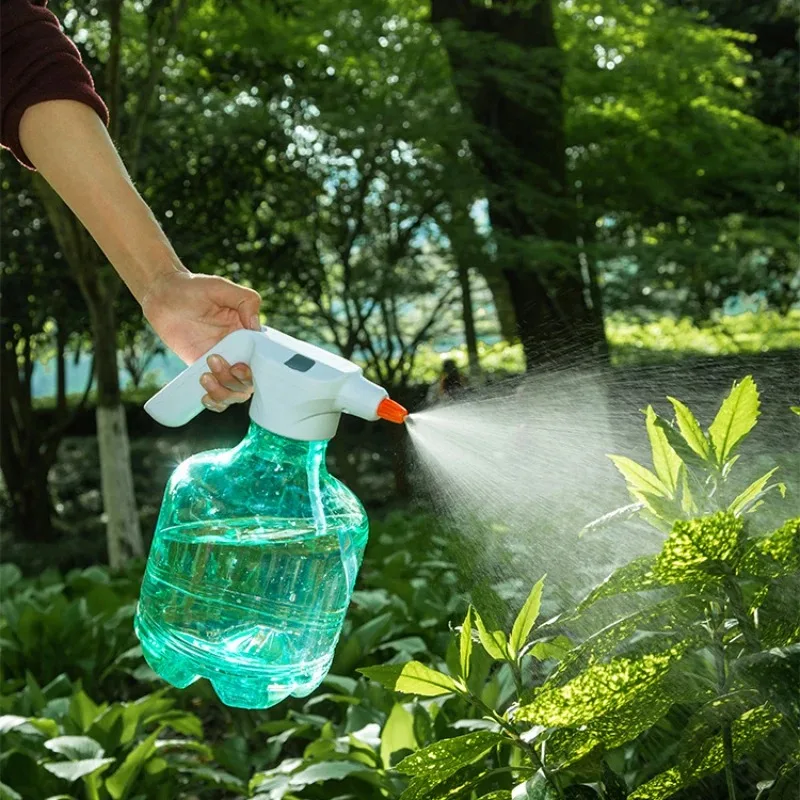 image_3256806608231299_2-1.webp