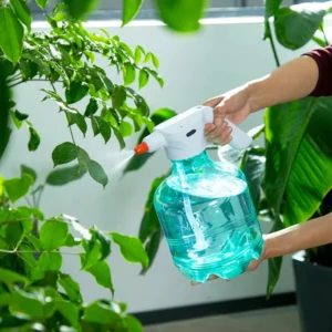 image_3256806608231299_3-1.webp