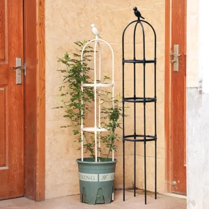 Climbing Plant Trellis Support