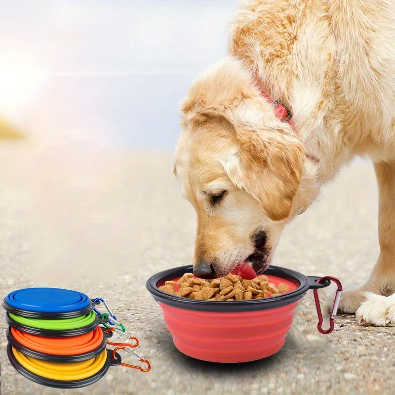 image_3256806938015836_2-1.webp