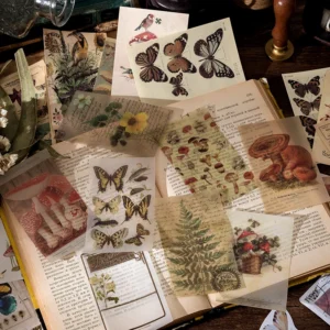 image_3256806983506006_2-1.webp