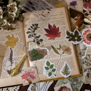 image_3256806983506006_3-1.webp