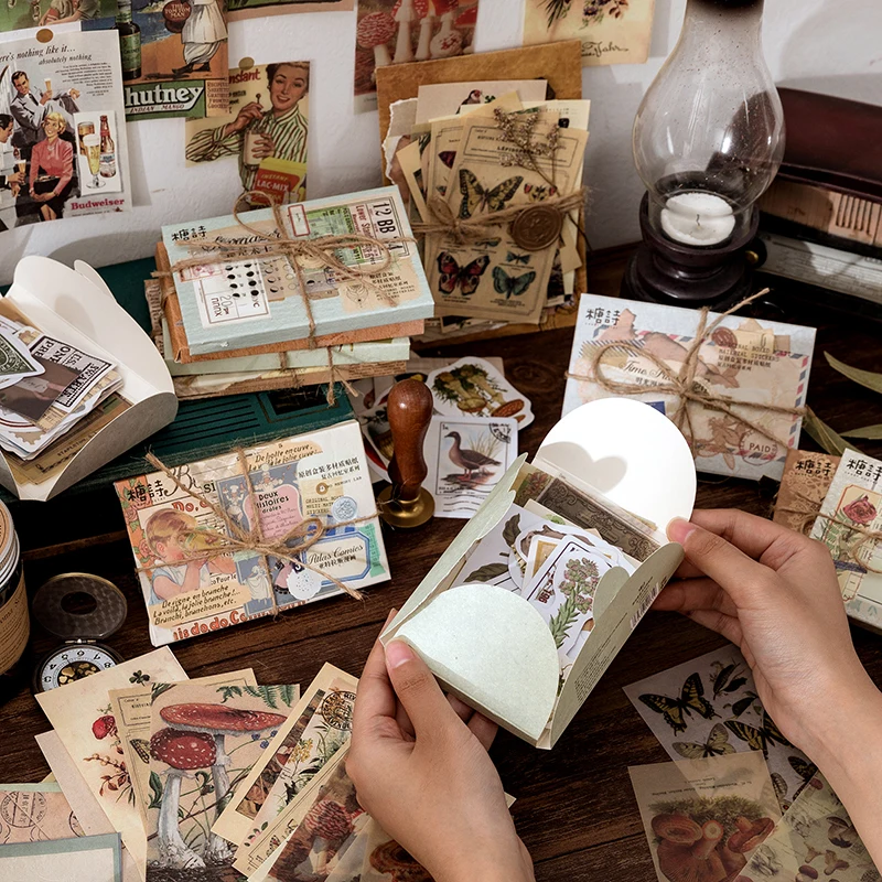 image_3256806983506006_4-1.webp