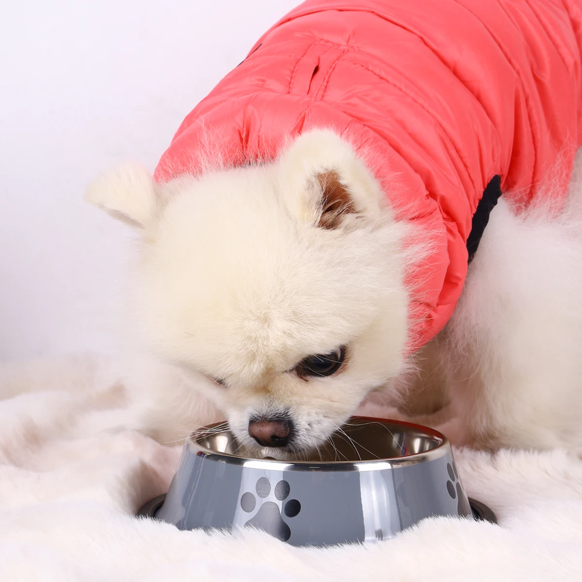 image_3256806984527039_2-1.webp