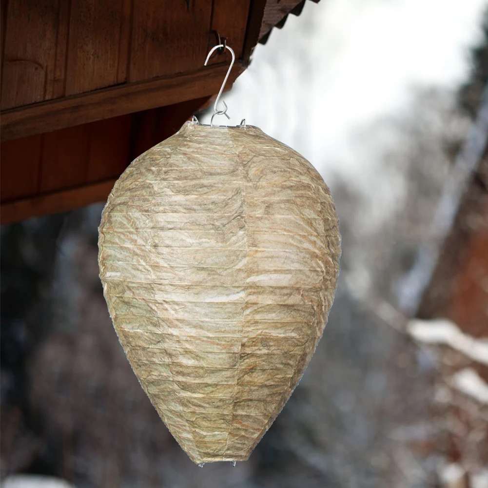 image_3256807255157132_3-1.webp