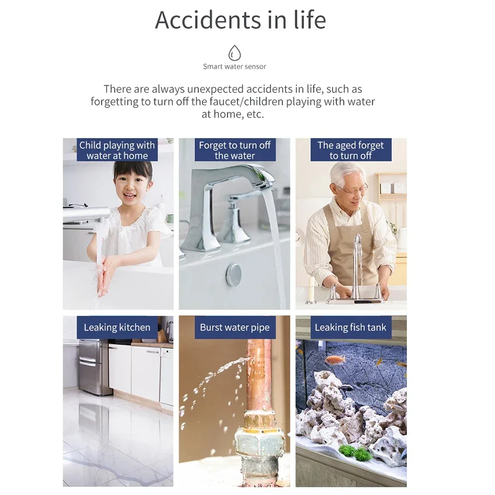 image_3256807307657292_3-1.webp