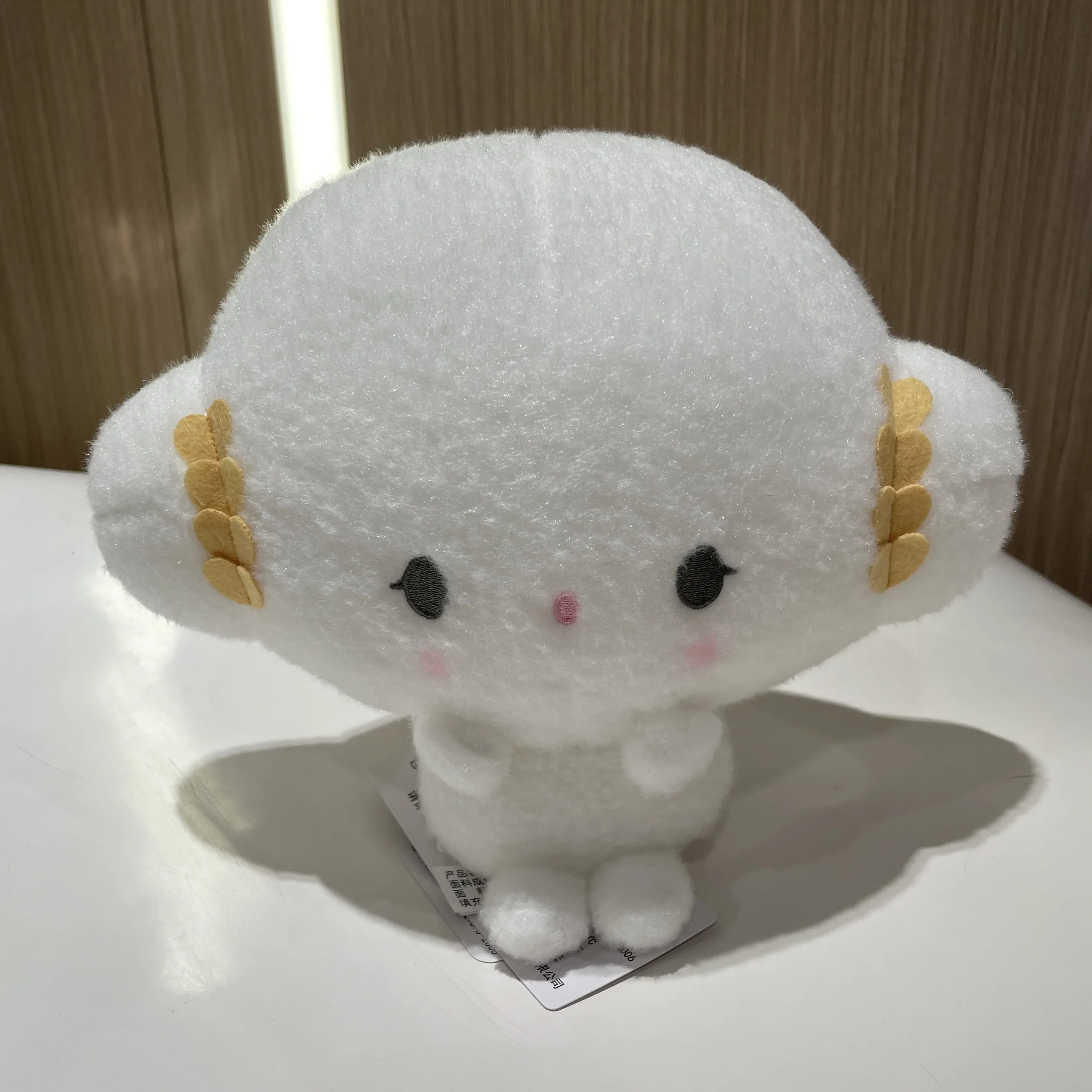 image_3256807448770825_1-scaled-1.webp