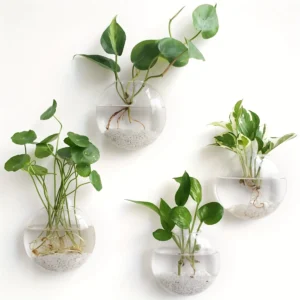 Self-Watering Glass Terrarium