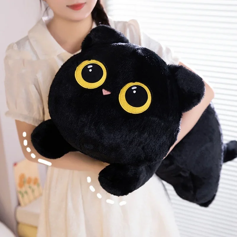 image_3256808061743007_3-1.webp