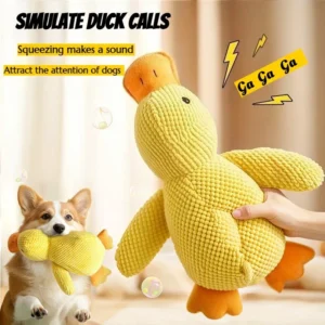 Plush Squeaky Dog Teething Toy