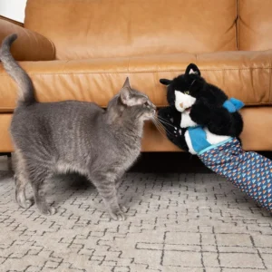 image_3256809347323390_3-1.webp